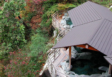 Open-air bath Saruami-no-Yu Open-air bath Saruami-no-Yu